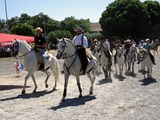 Destaque - Passeio Equestre Ibérico reúne 60 cavaleiros